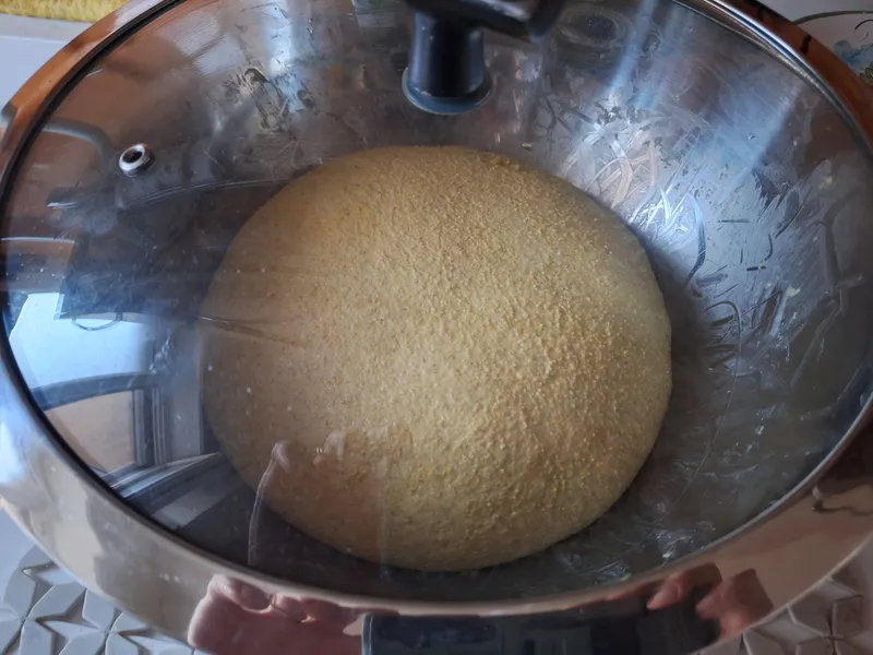 Personalmente uso un coperchio, così non spreco pellicola per niente (non la uso quasi più). Anche lo sfiato che si vede in foto è utile perchè fa uscire in modo controllato i gas prodotti durante il riposo