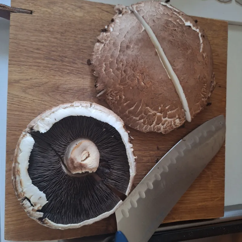 ed ecco qui due bei portobello da 150g l'uno. Oltre a questi ho usato anche dei pioppini